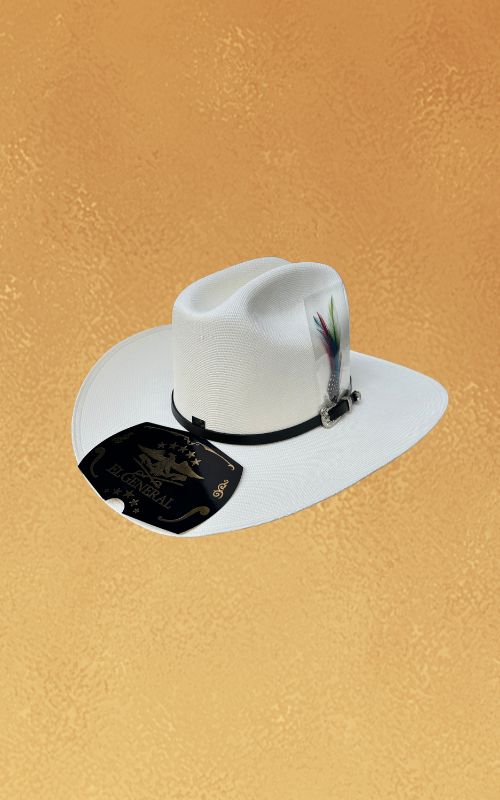 Men's Western Hats