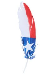 Decorative Feather 42039